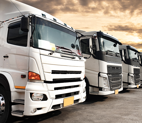 사업소개페이지 기업화물운송 이미지입니다. *기업화물운송은 시화화물* 